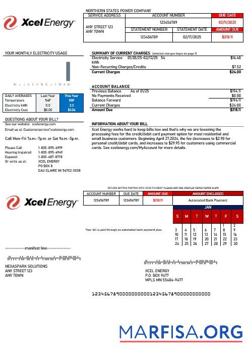 Printable USA Xcel Energy business utility bill Word and PDF template